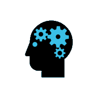 brain.png