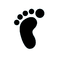Overall Foot Traffic
