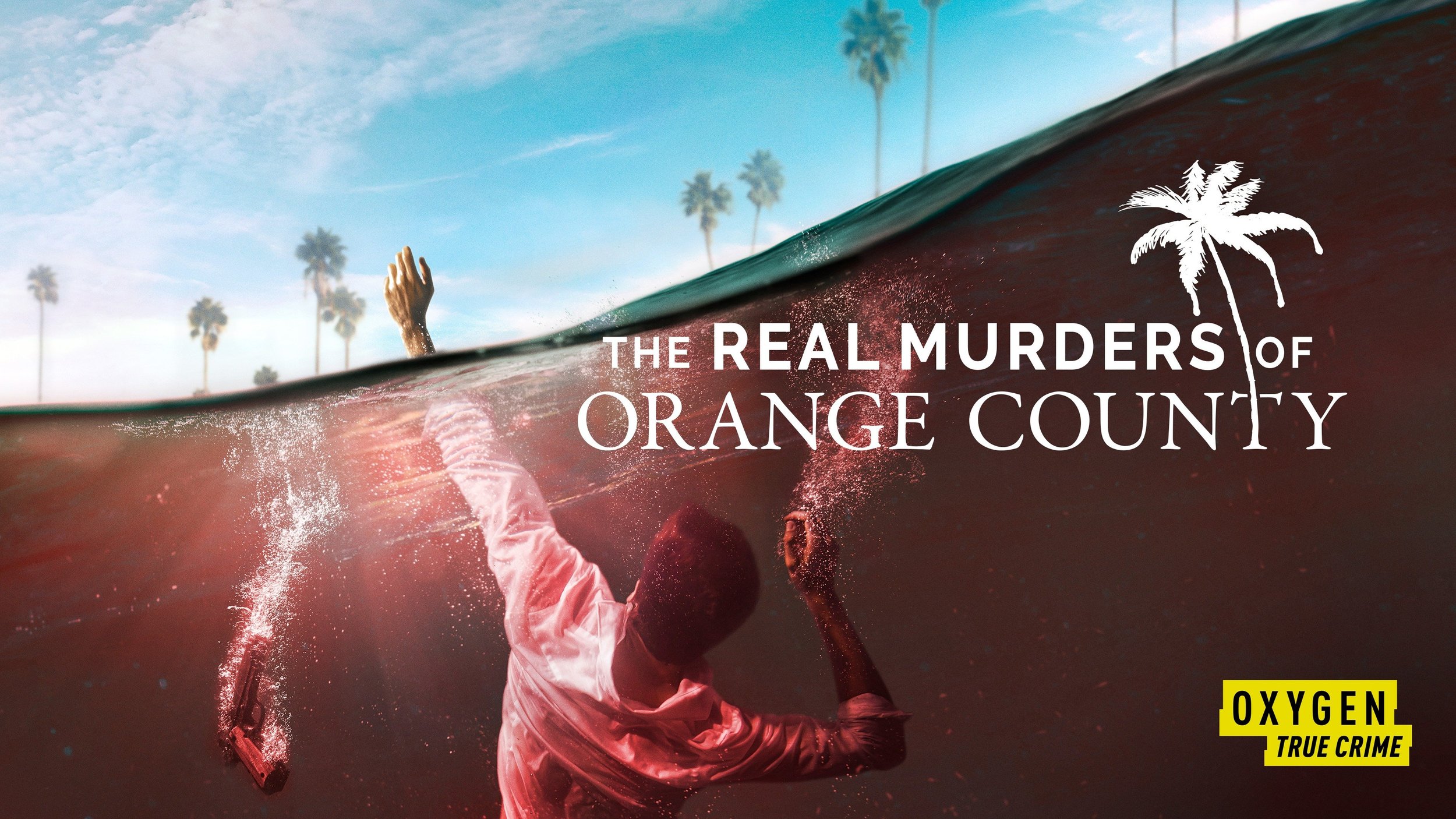 The Real Murders of Orange County - Point of Entry (Underscore).jpeg