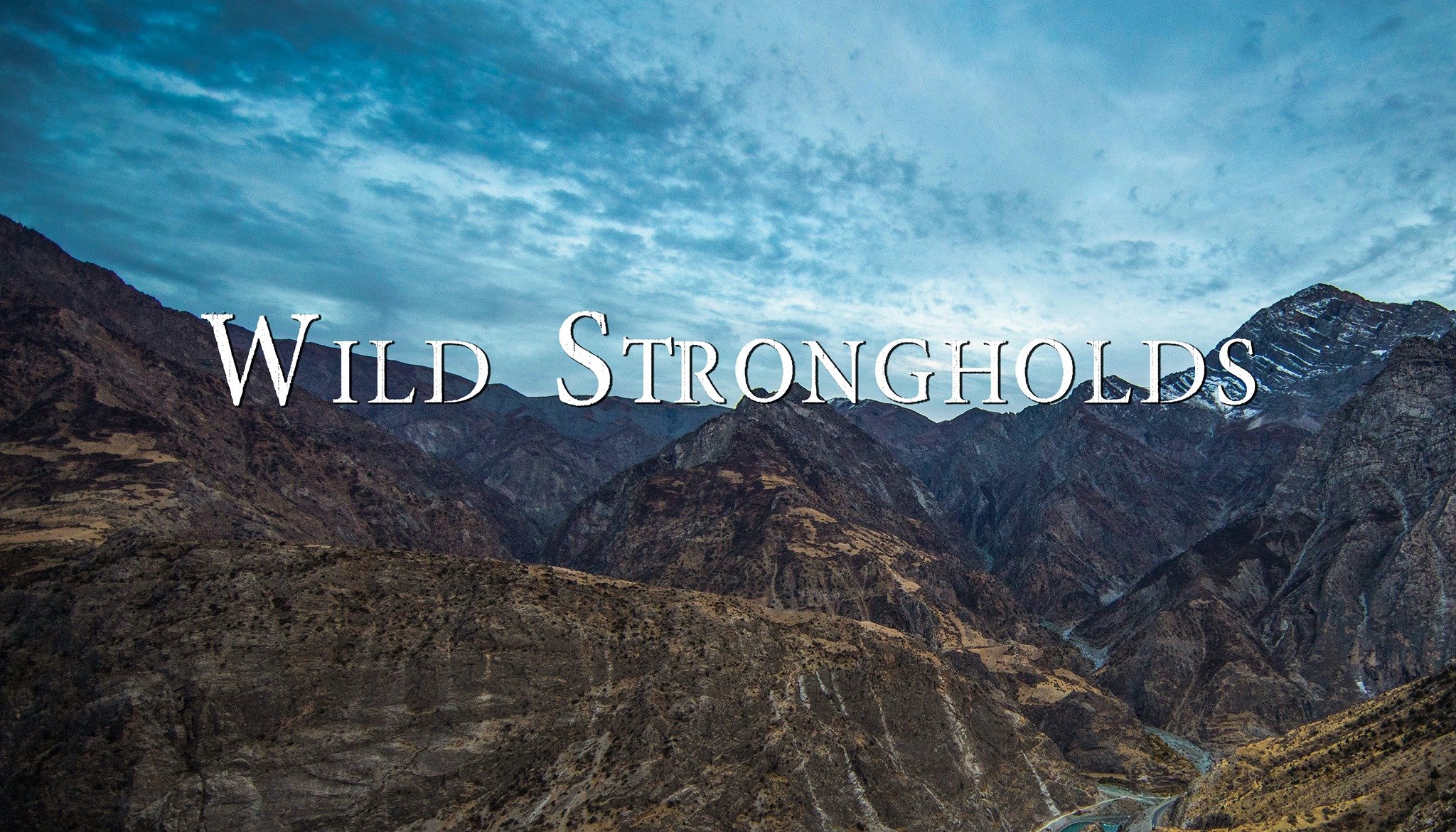 Wild Strongholds - Distant Twilight.jpeg