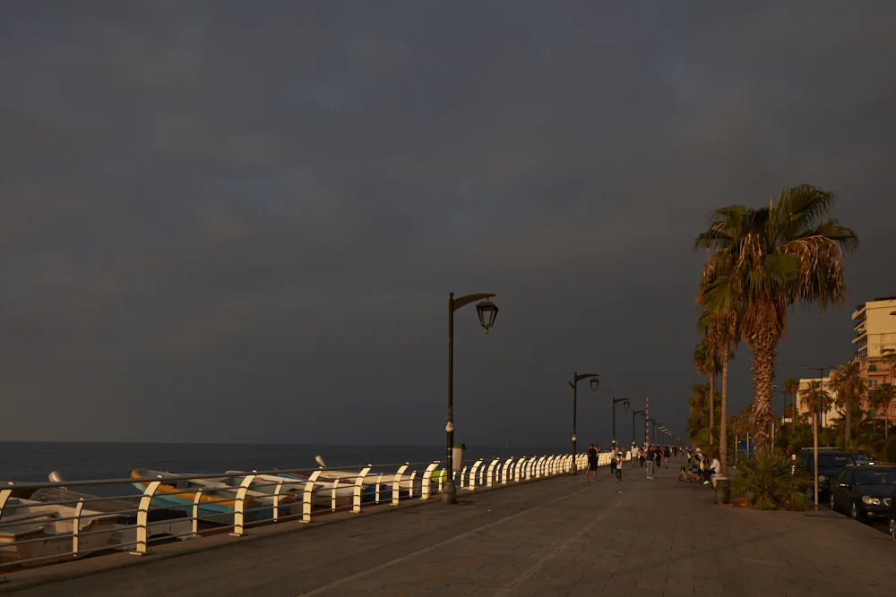 _91A5391.jpg