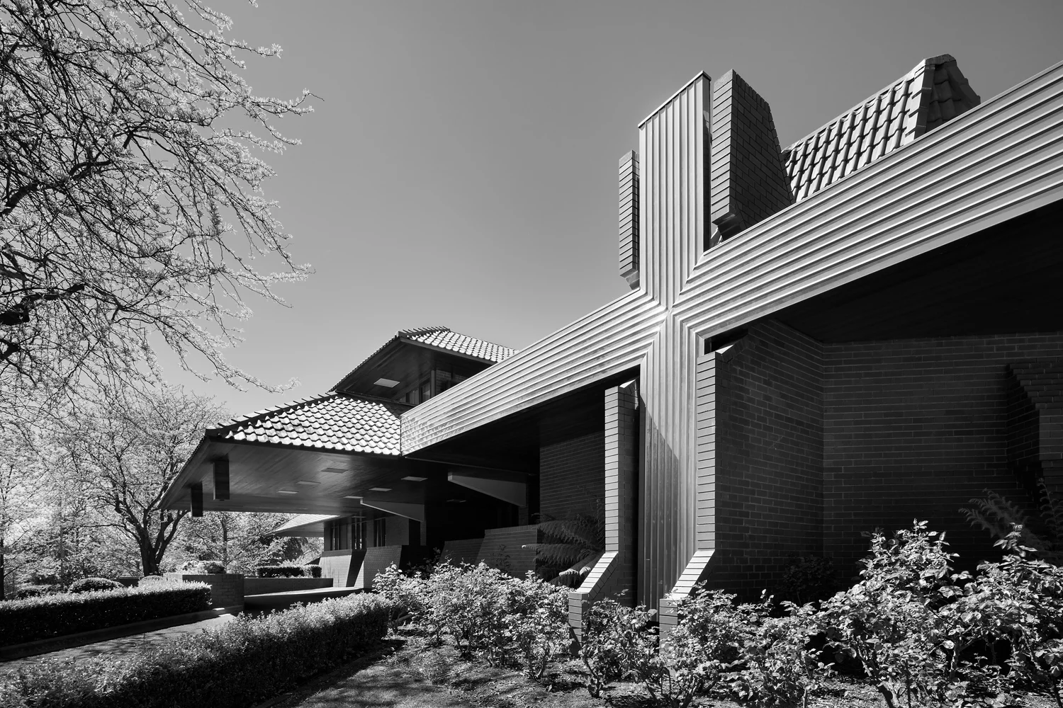 _SB_8704_1 copy1.jpg