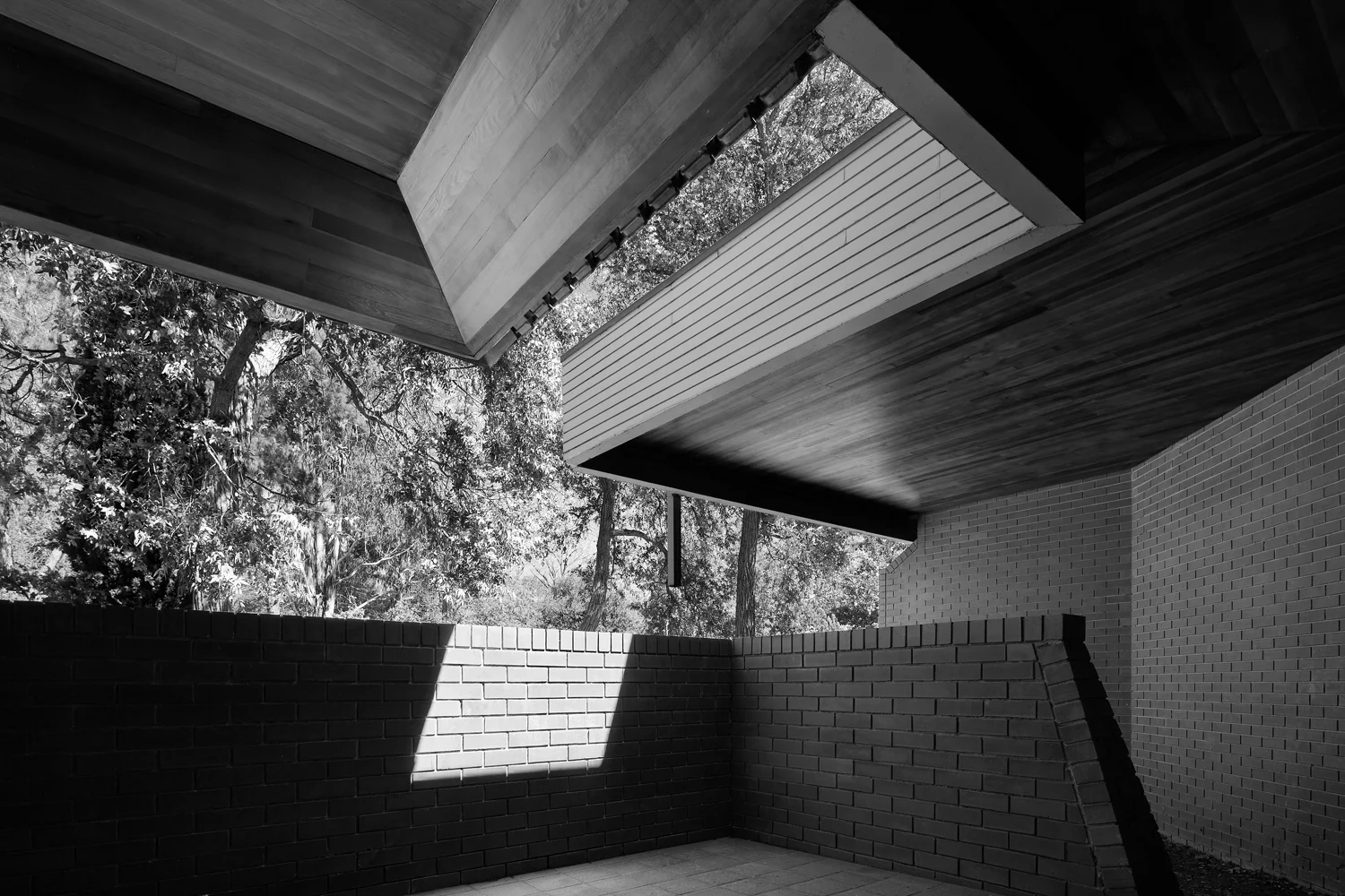 _SB_8772_1 copy1.jpg