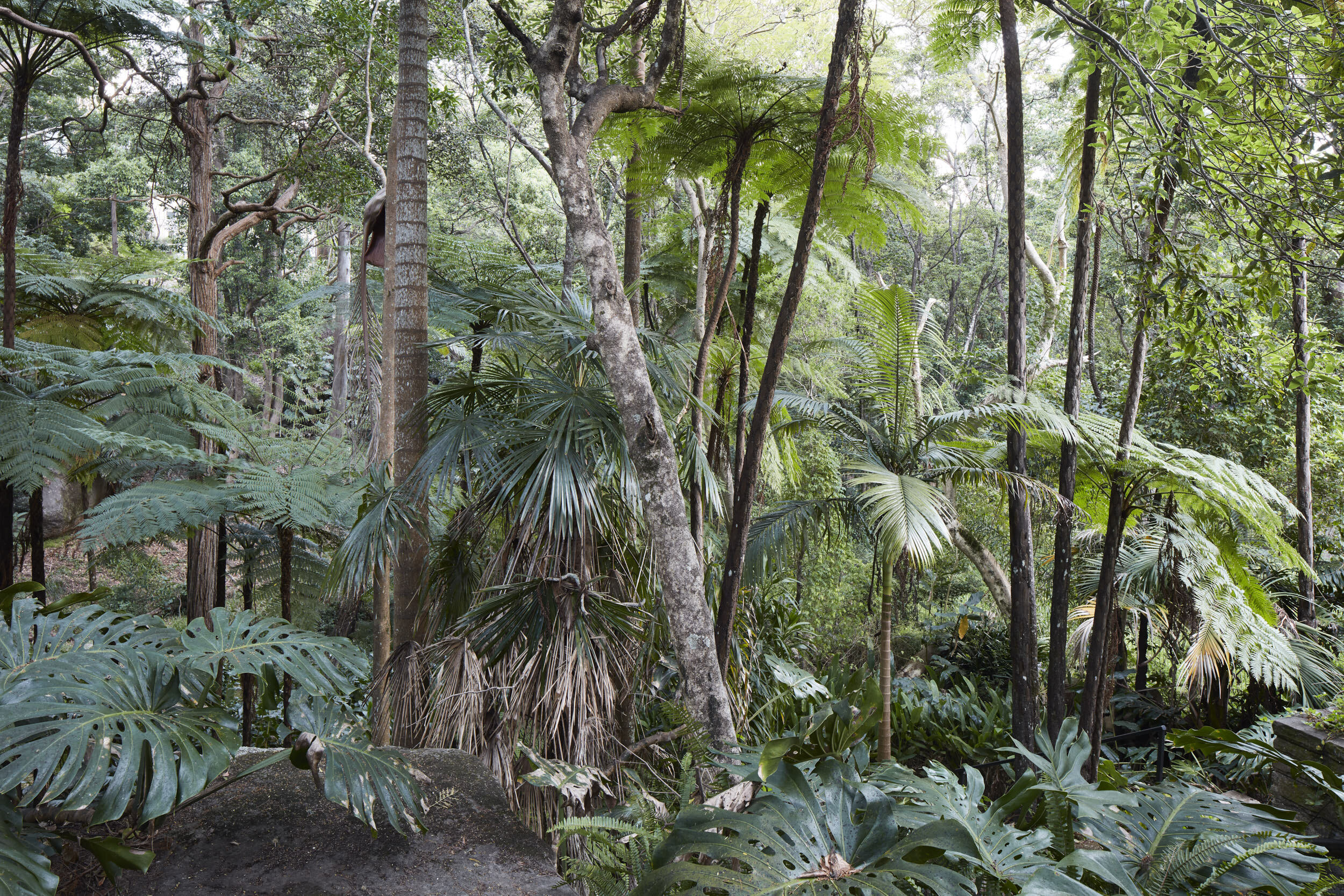 MH_Killara_LowRes_FINAL_11.jpg