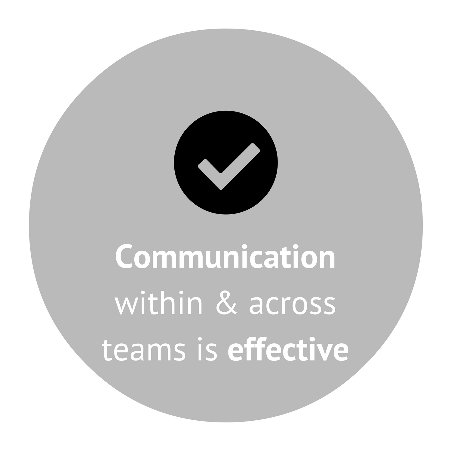 communication within and across teams.png