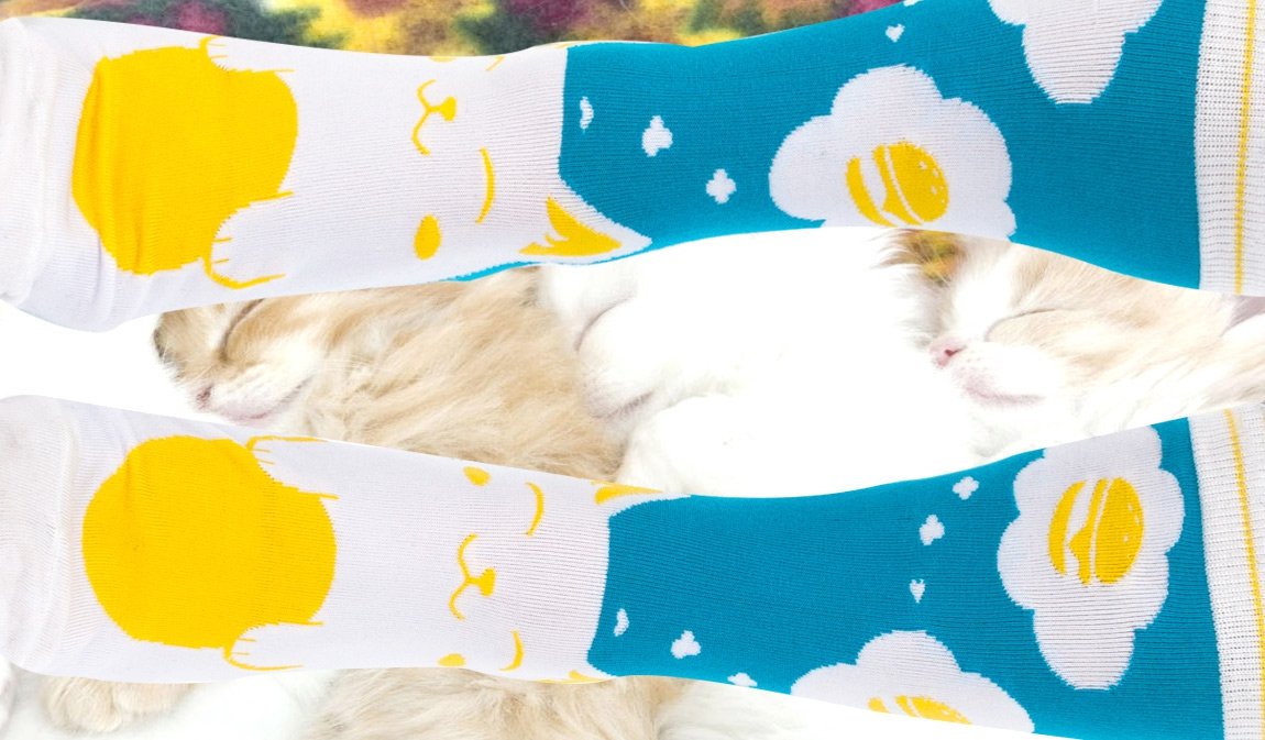 cheezburger_socks__3_pack__9.jpg