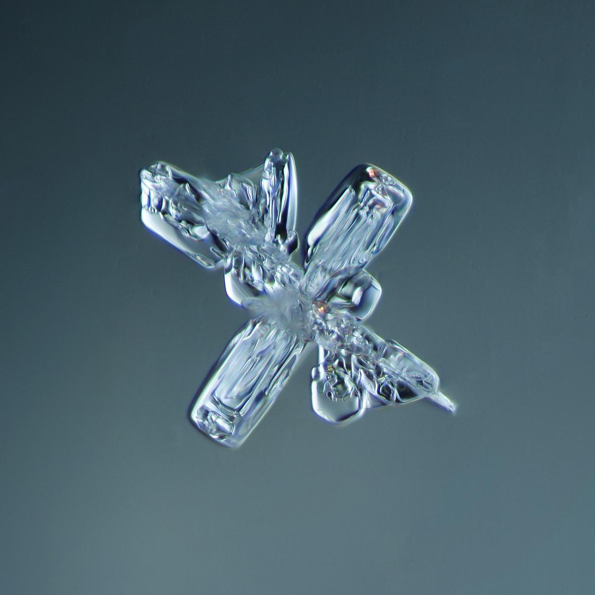 Snowflake 2014.02.09.004