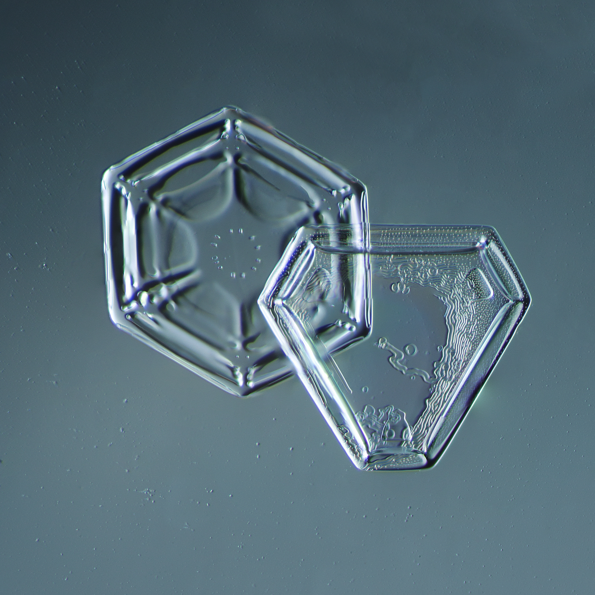 Snowflake 2014.02.09.005