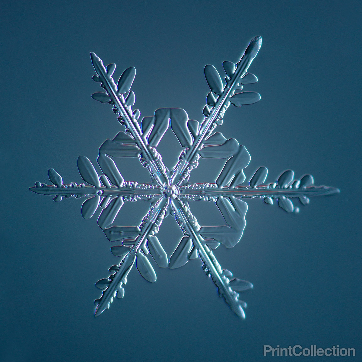 Snowflake 2014.02.16.005