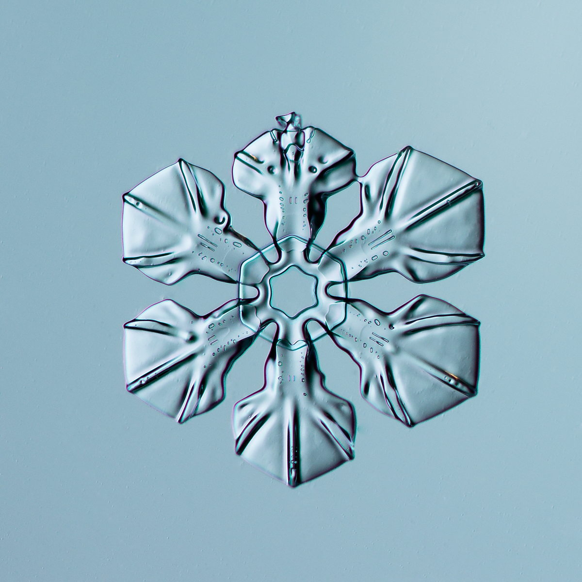 Snowflake 2014.02.16.009