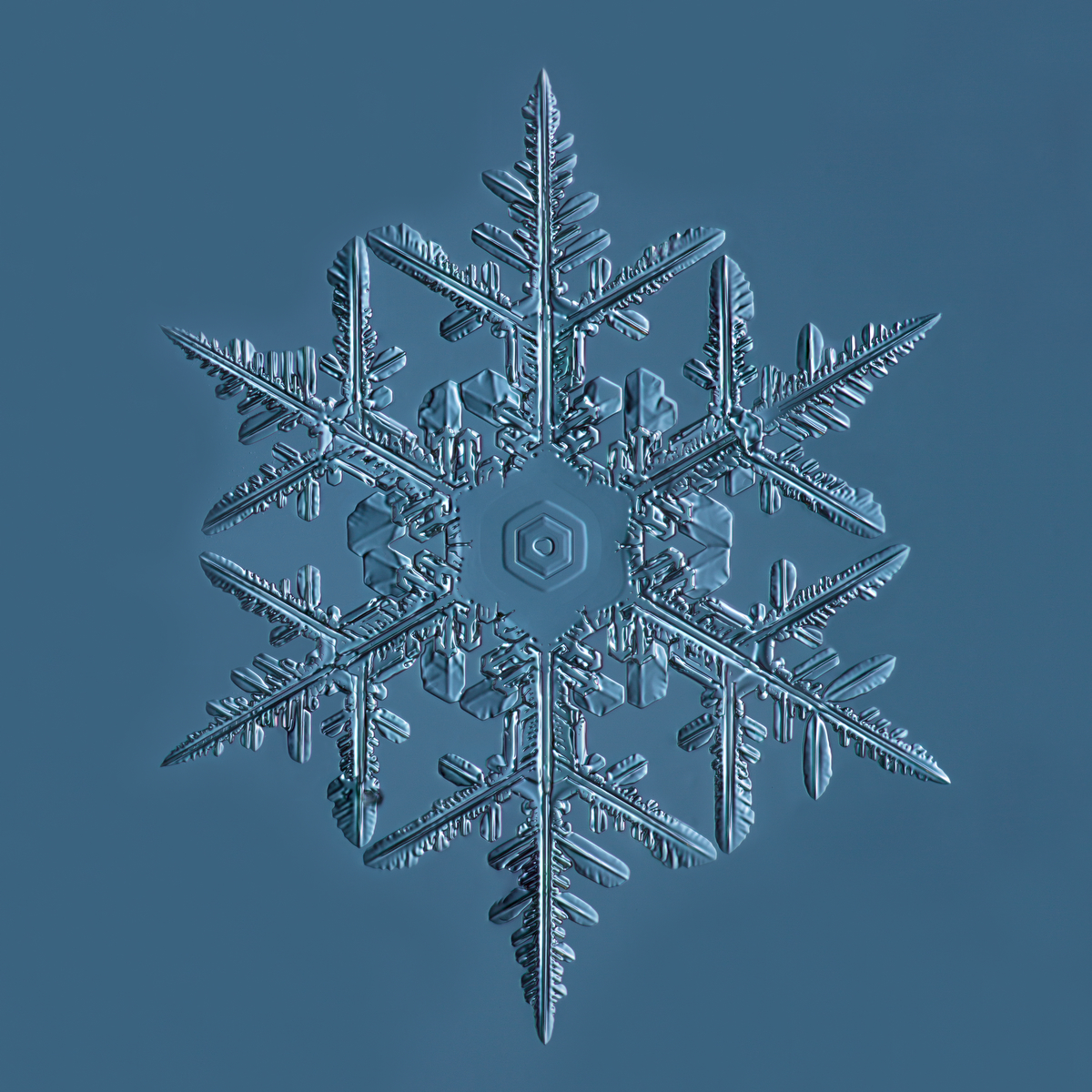 Snowflake 2015.02.02.001