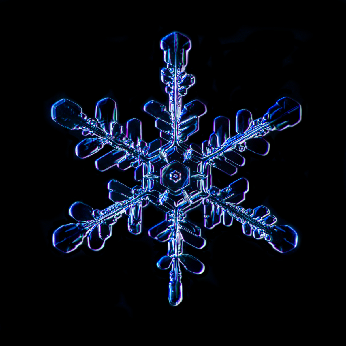 Snowflake 2015.02.02.002
