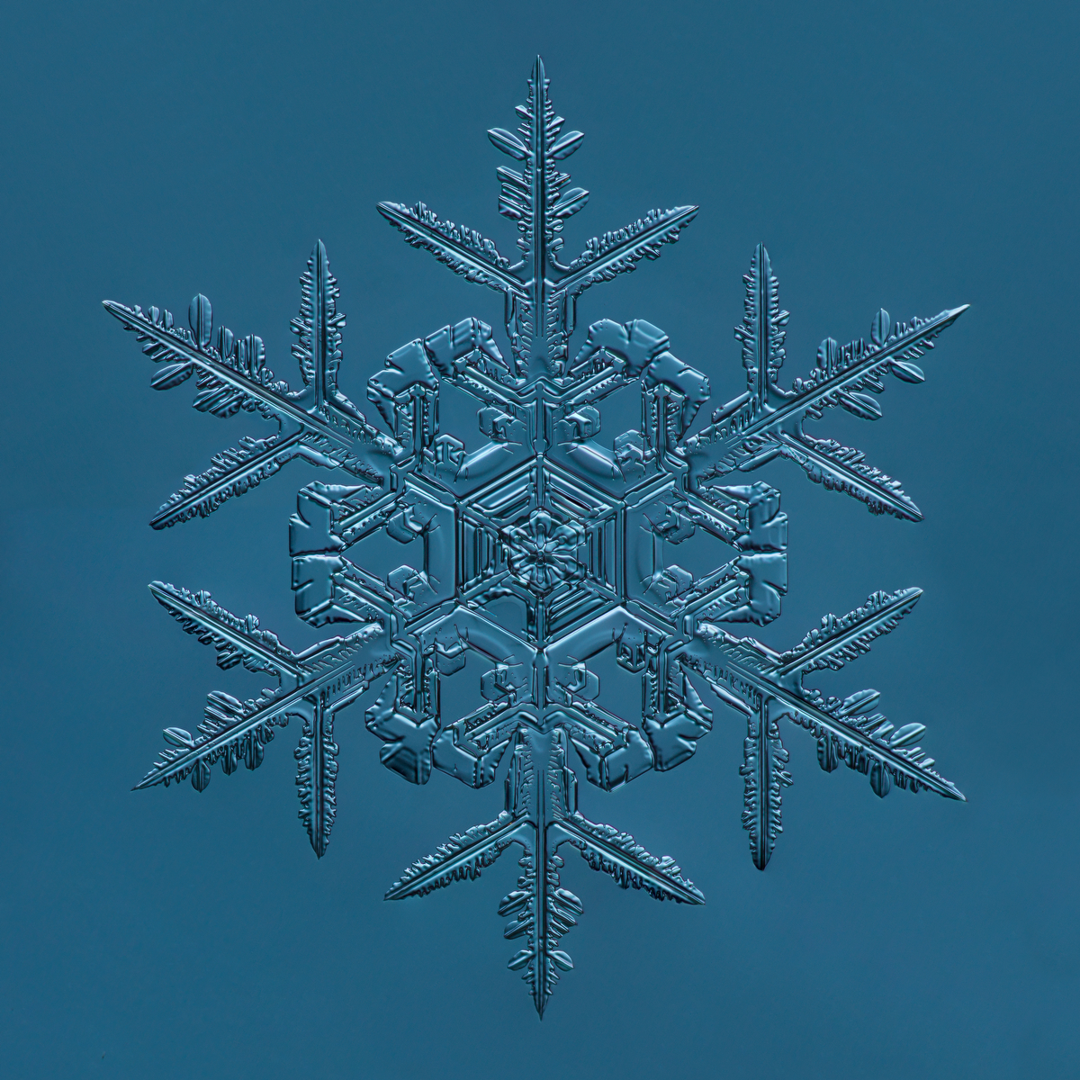 Snowflake 2015.02.02.008