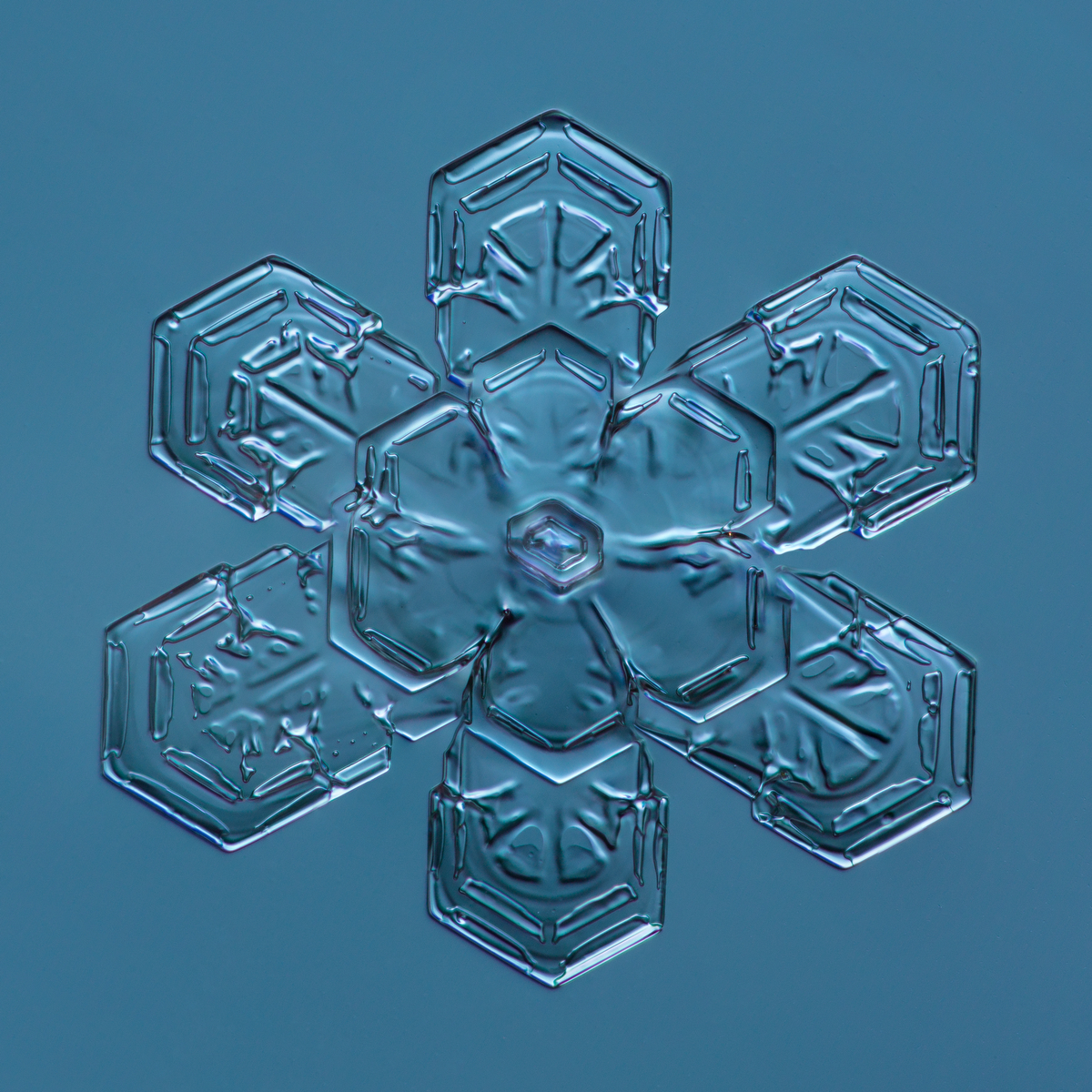 Snowflake 2015.02.04.009