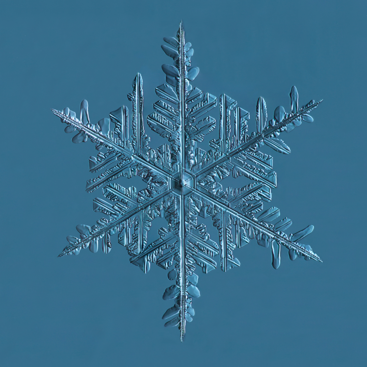 Snowflake 2015.02.20.002C