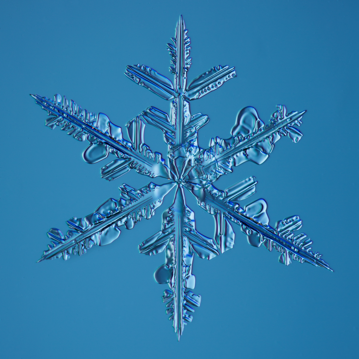 Snowflake 2015.02.22.006