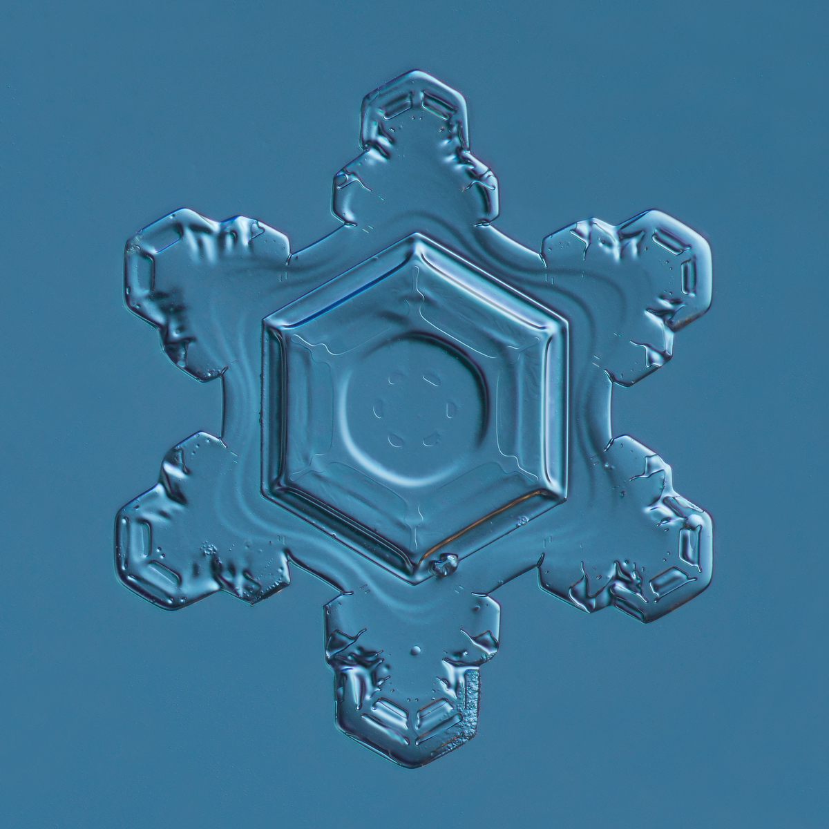 Snowflake 2015.02.25.003