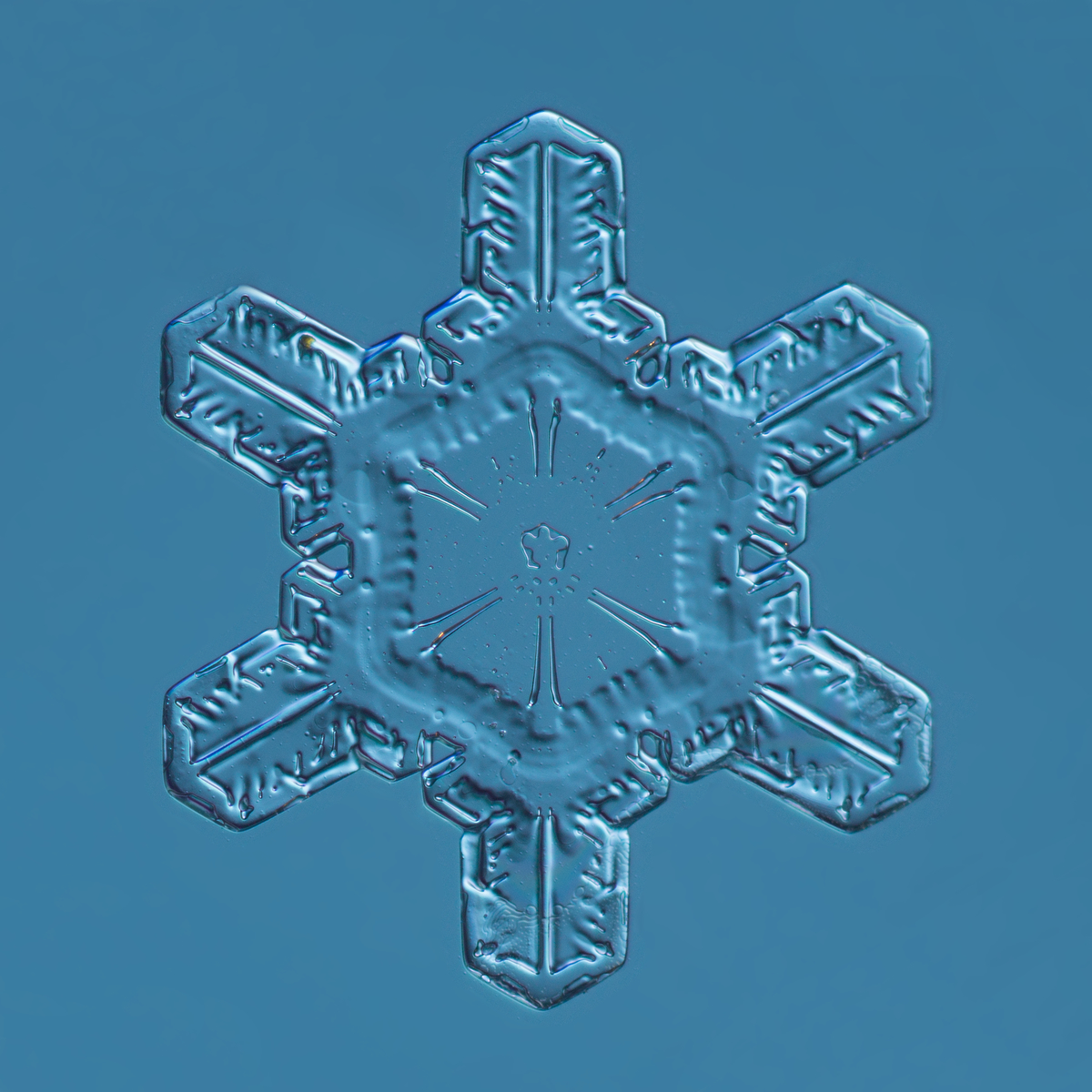 Snowflake 2015.02.25.008