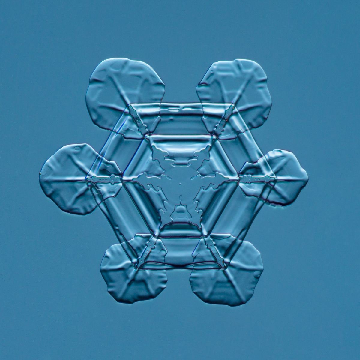 Snowflake 2015.02.25.007