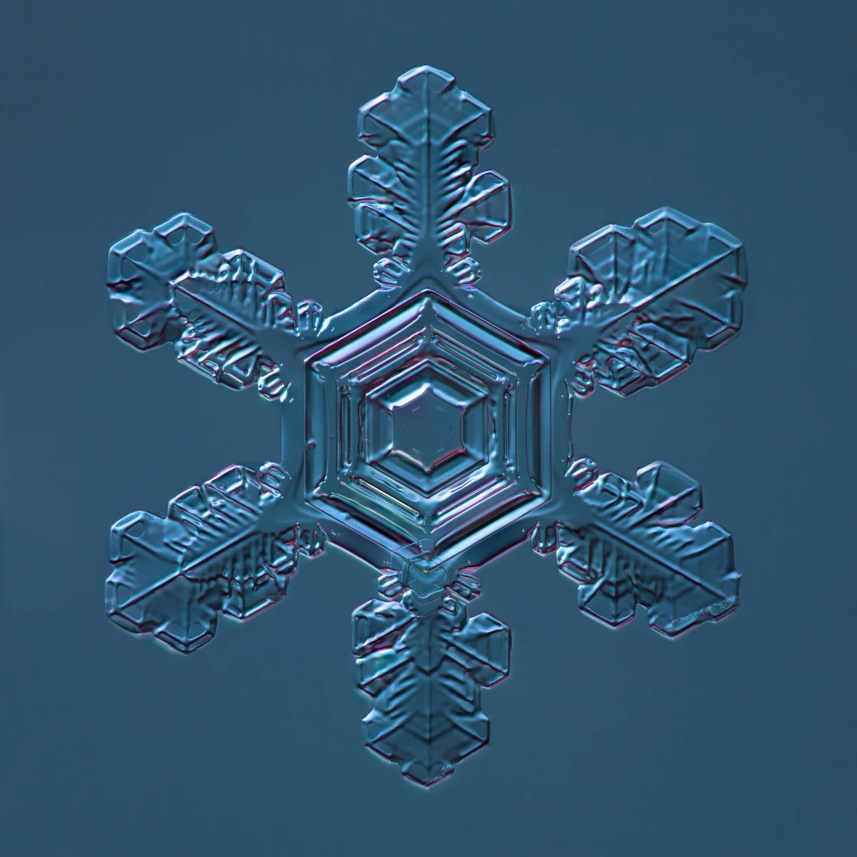 Snowflake 2015.02.04.001.JPG