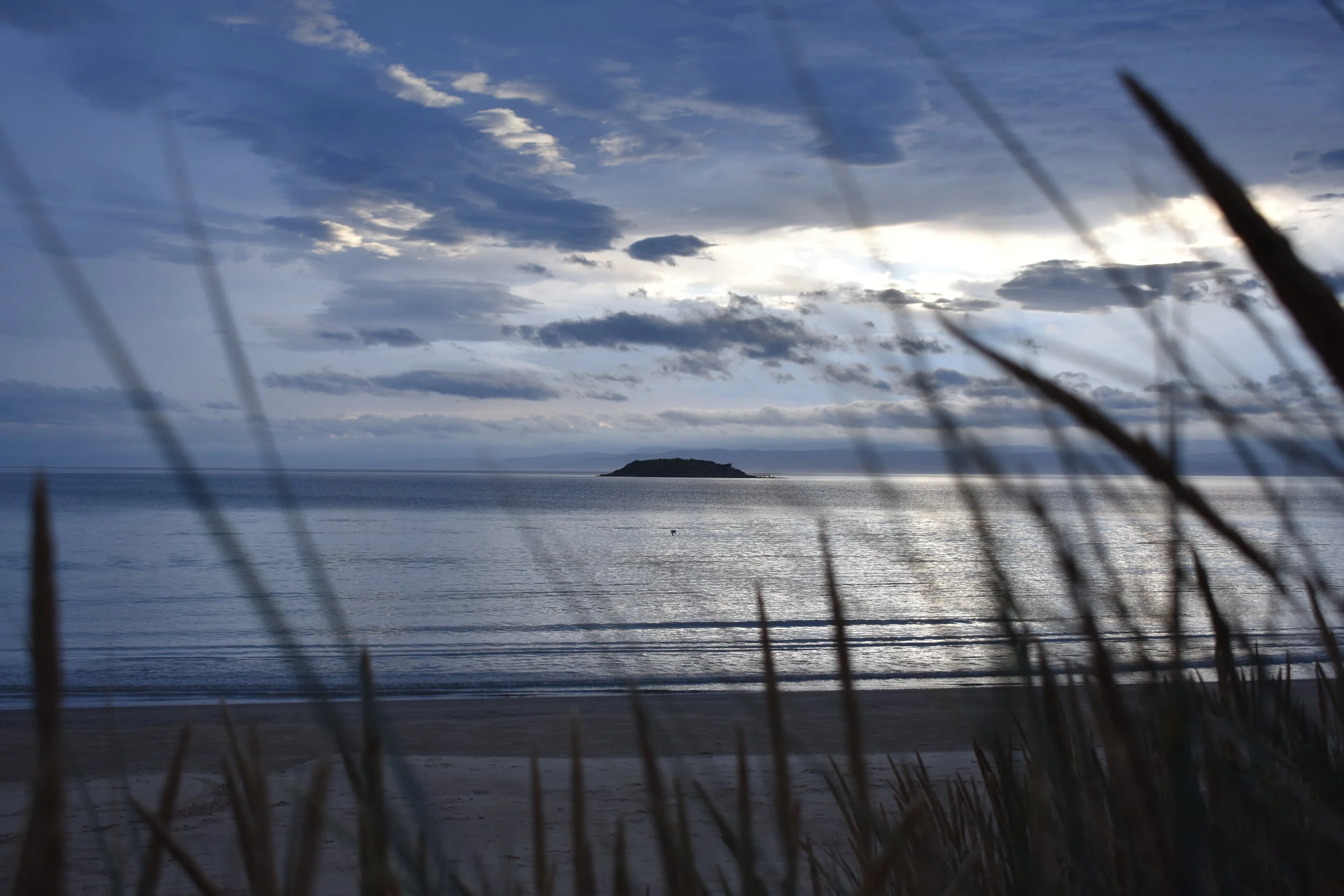 DSC_0116.JPG