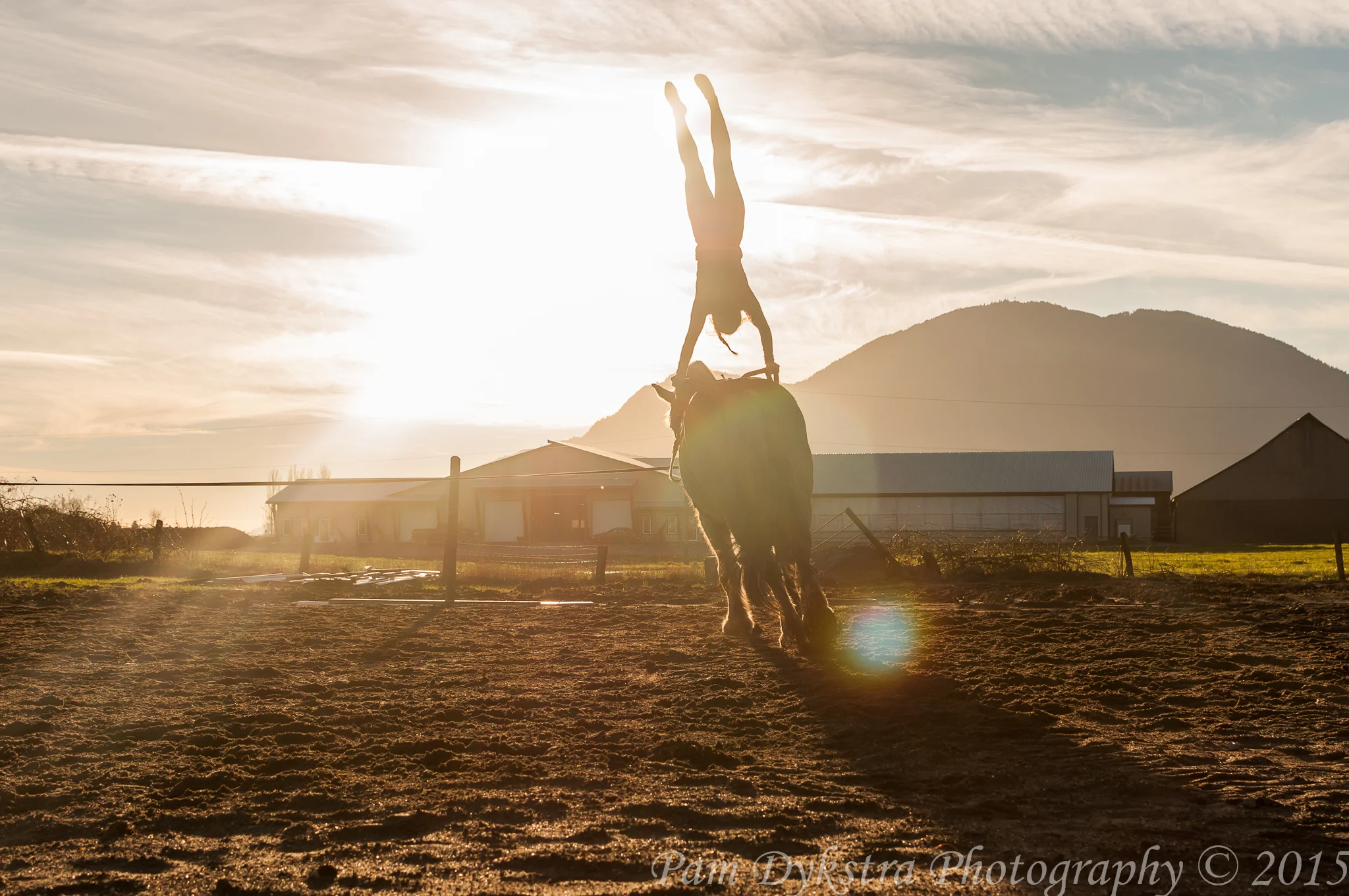 DSC_0053-Edit.jpg