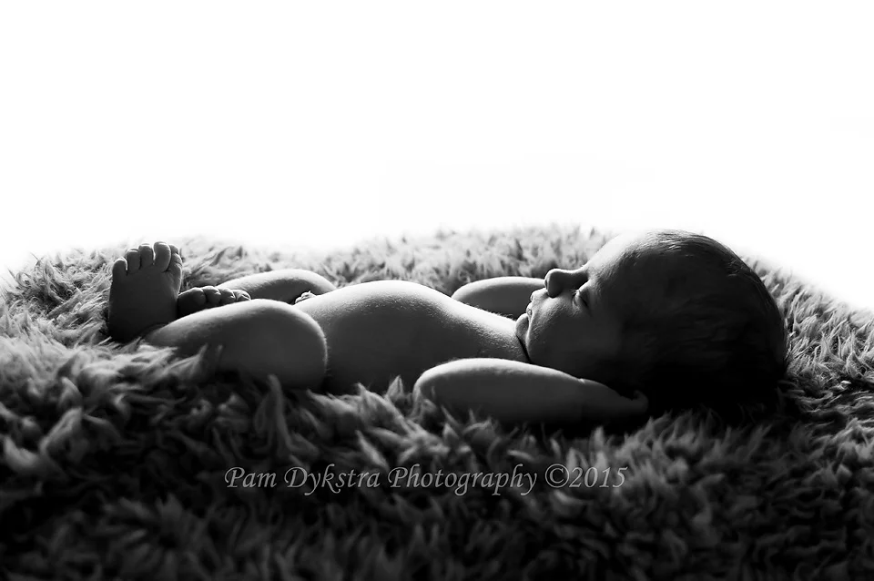 DSC_0733-Edit (2).jpg