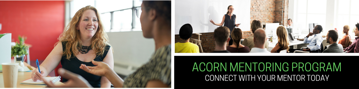 ACORN MENTORING PROGRAM_2017.png