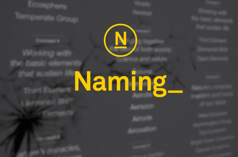 BB_Naming.jpg