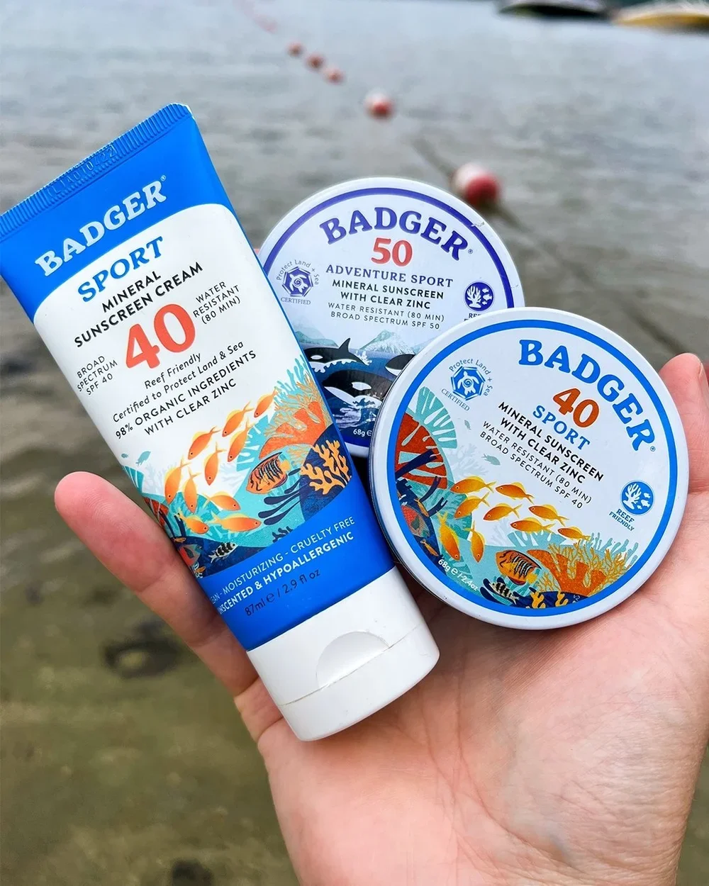 Badger-1.webp