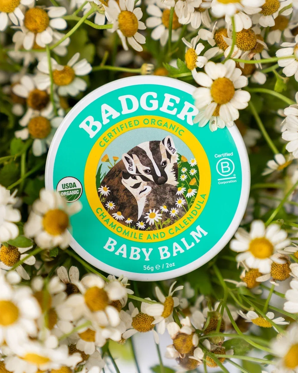 Badger-2.webp