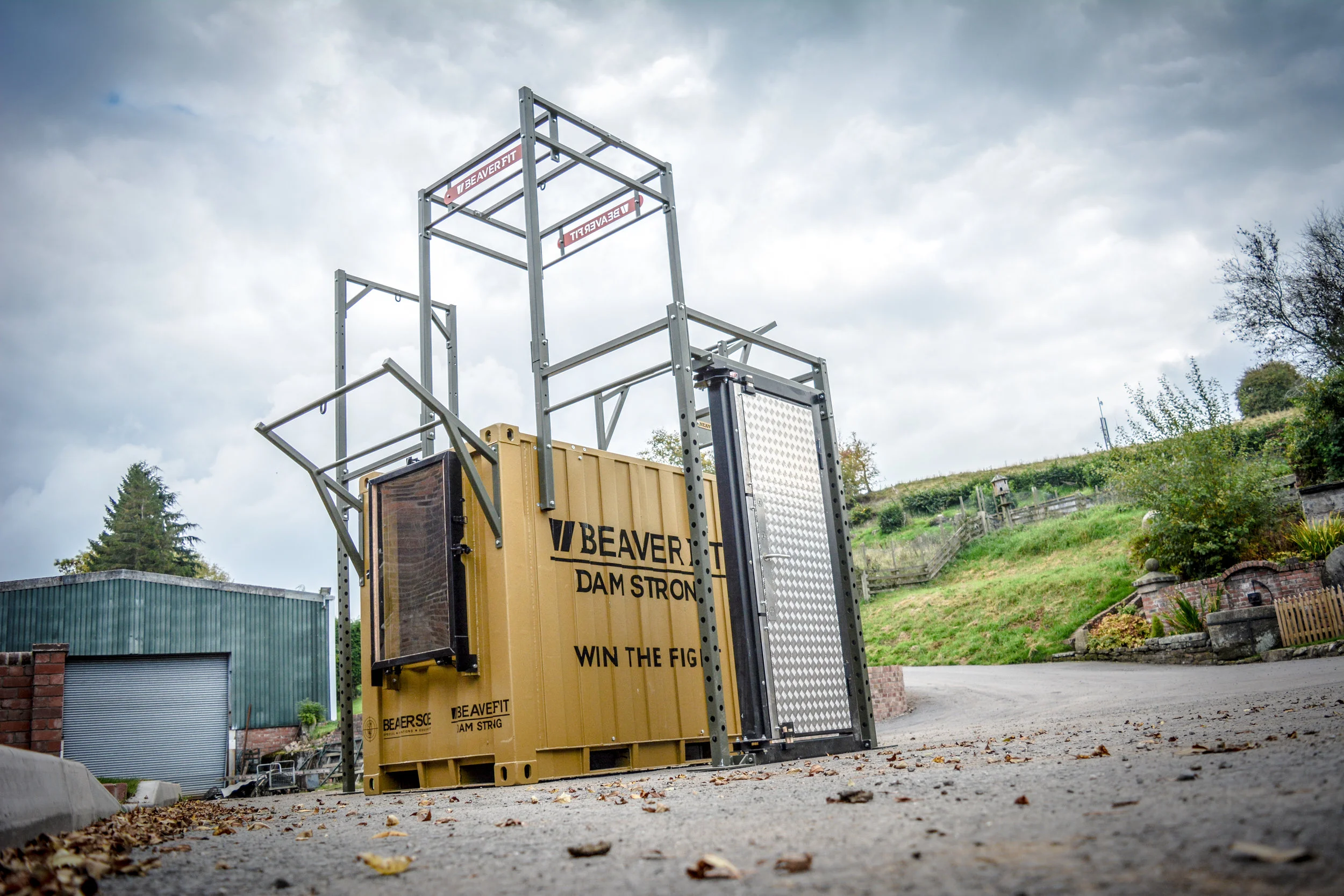 ALPHA 5 (1 of 1).jpg