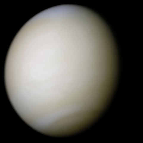 A real-colour image of Venus taken by Mariner 10 processed from two filters. The surface is obscured by thick sulfuric acid clouds.