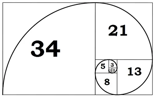 The Fibonacci Spiral