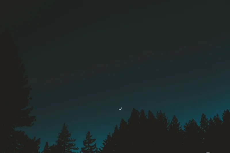 newmoon.jpg