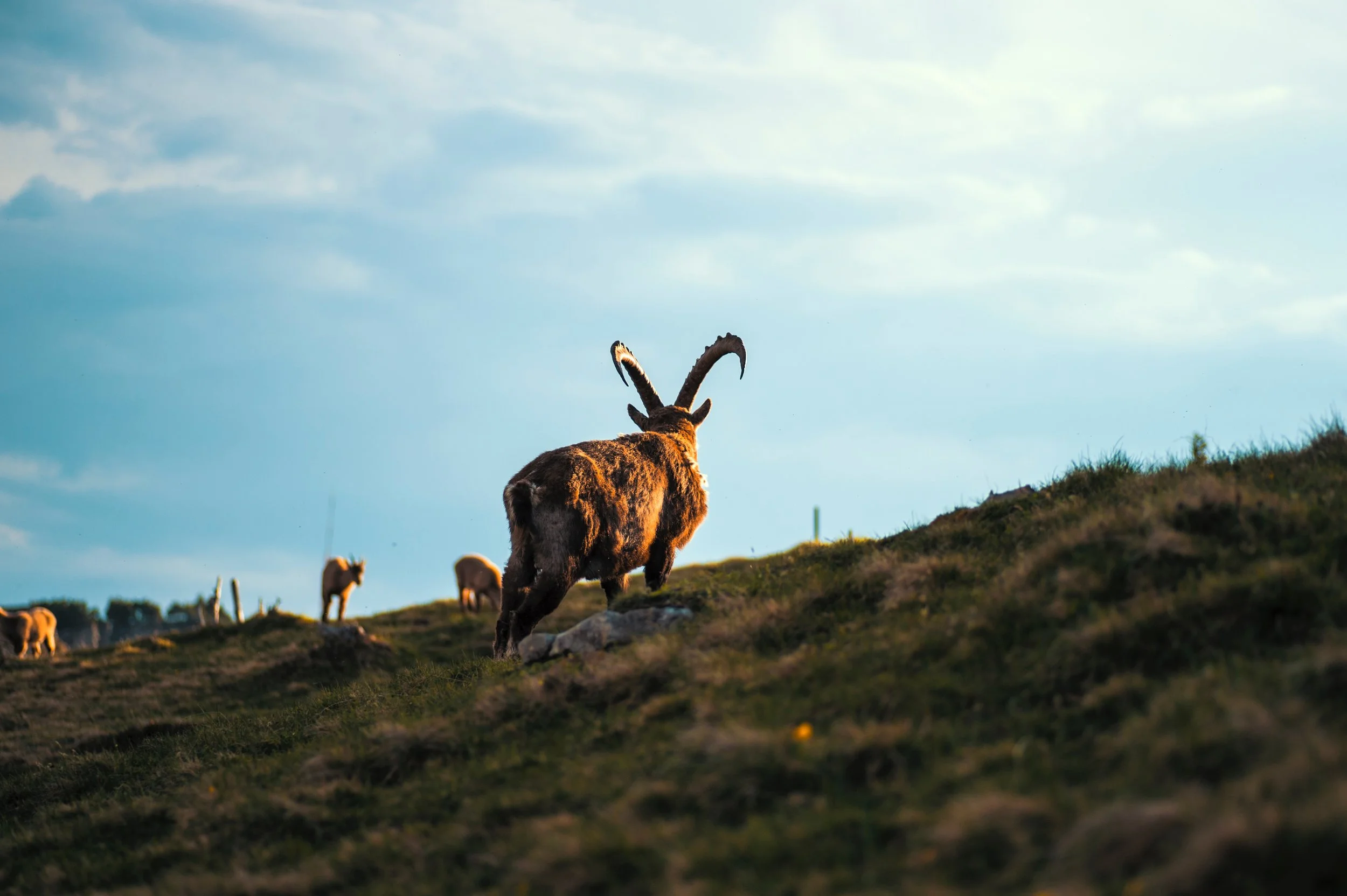 error-not-found-643029-unsplash (1).jpg