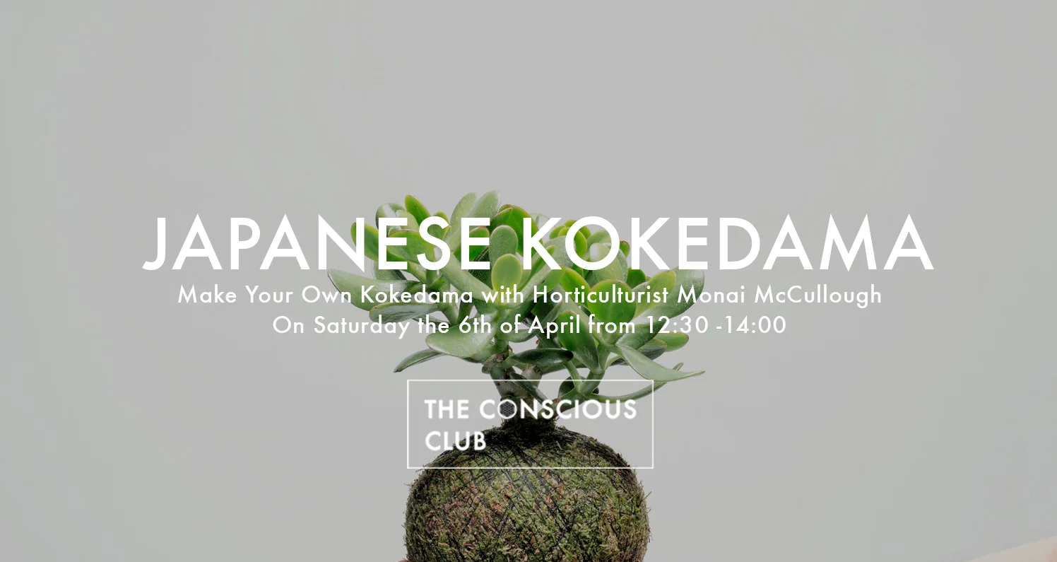kokedama.jpg