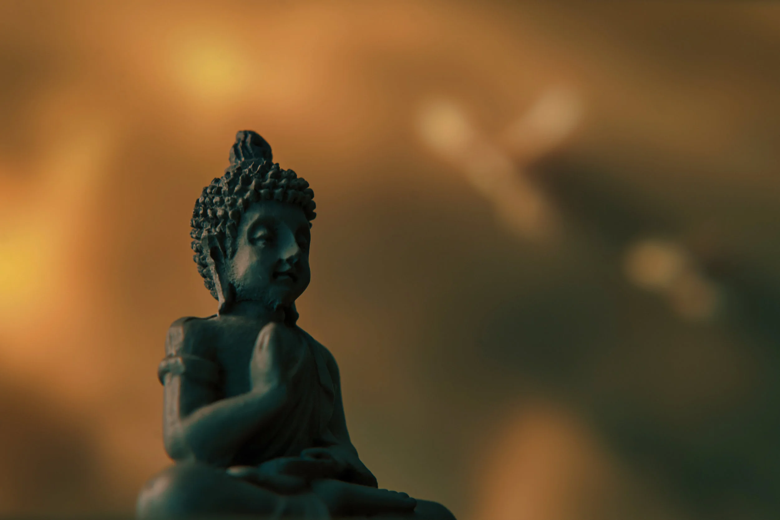 Osho Active Meditation: A Meditation for the Modern Age