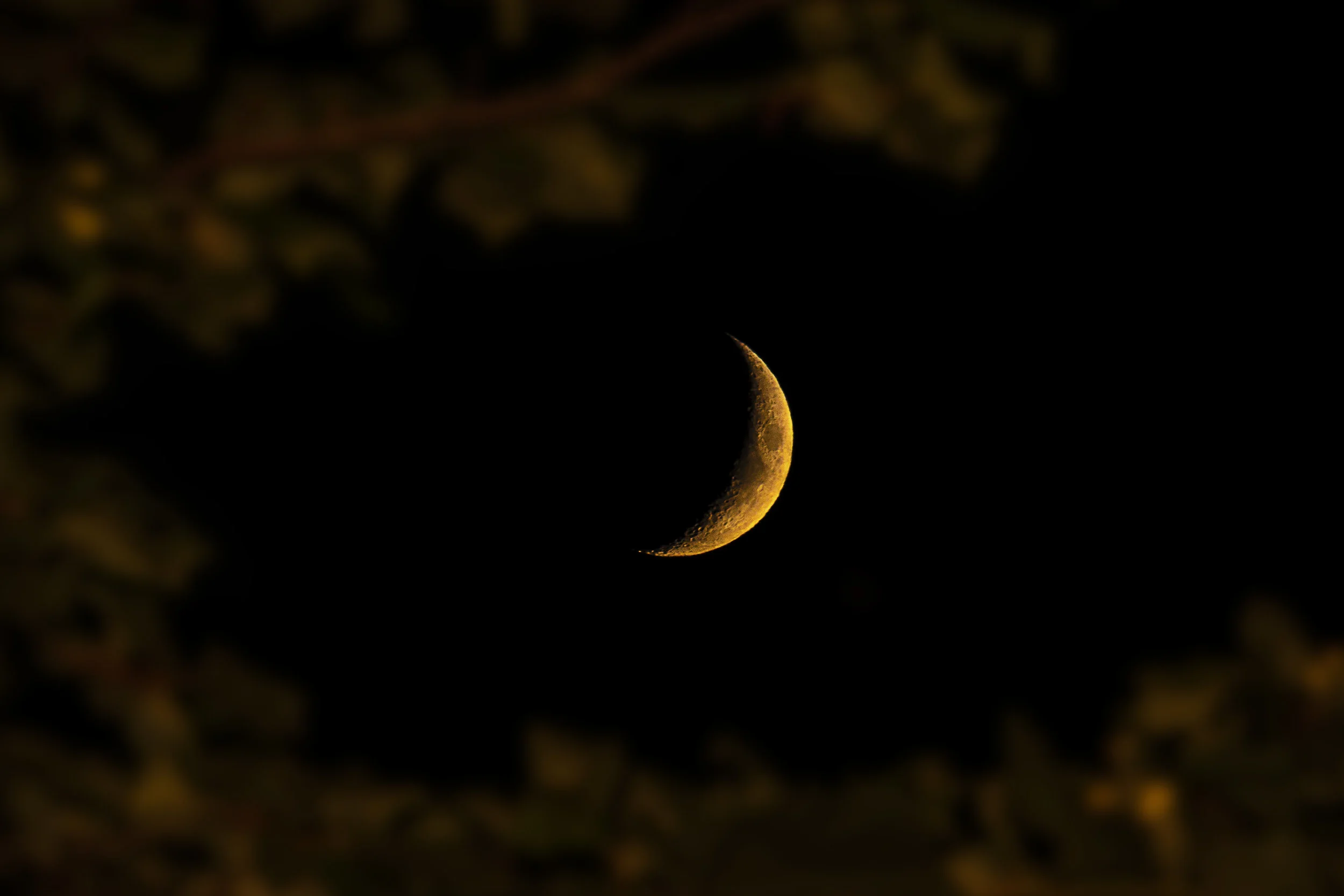New Moon In Sagittarius - Anxiety & Rebellion