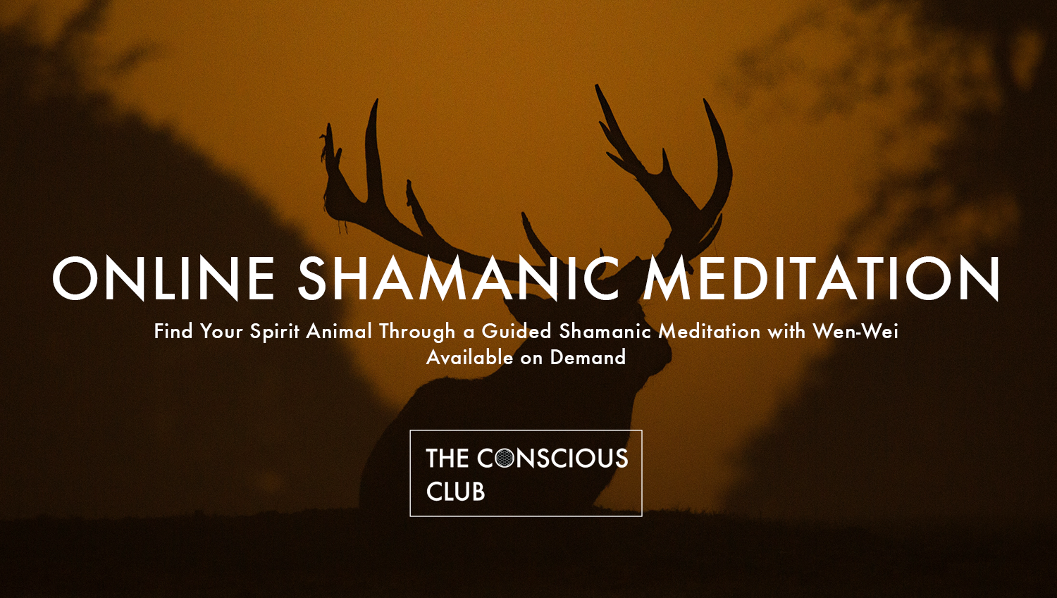 Online Shamanic Meditation ๑ Find Your Spirit Animal — The Conscious Club
