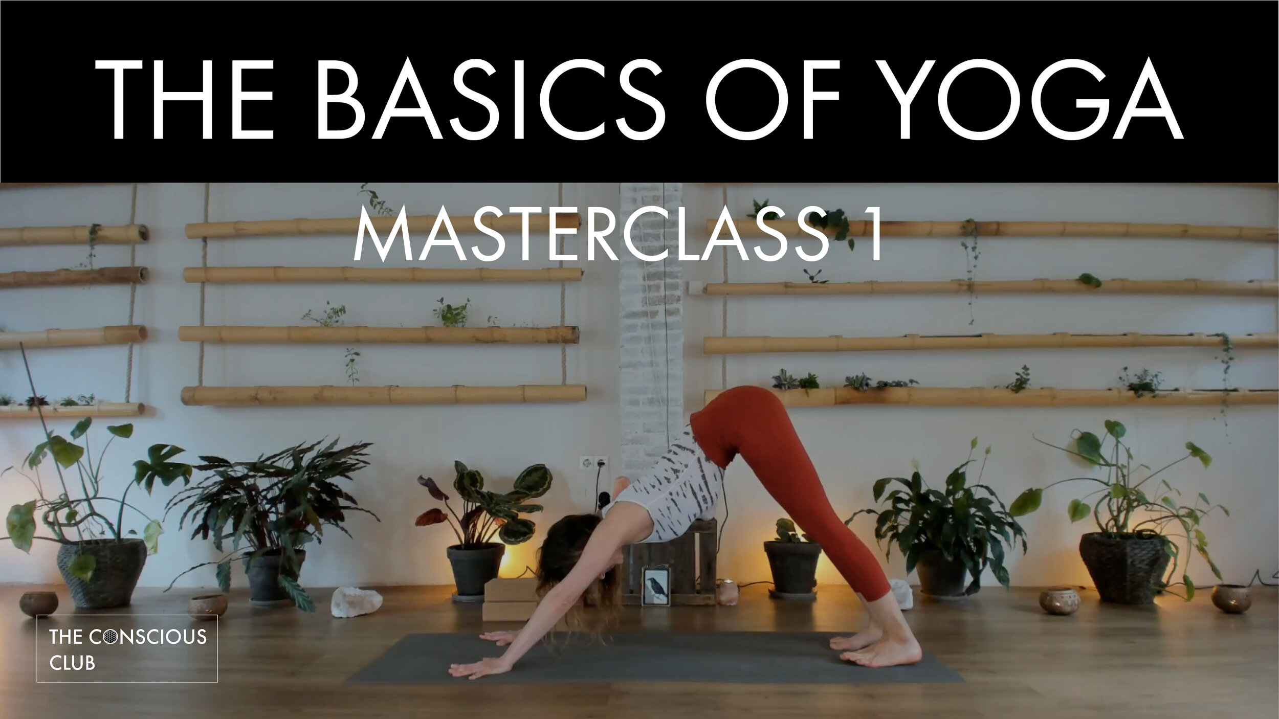 basics of yoga - ep 1.jpg