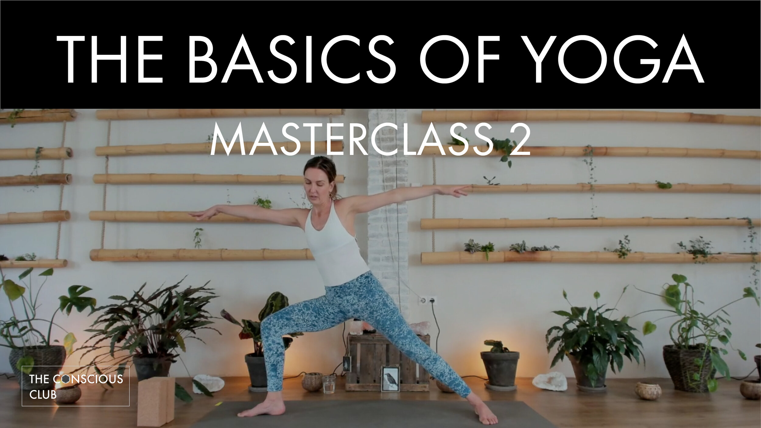 basics of yoga - ep 2.jpg