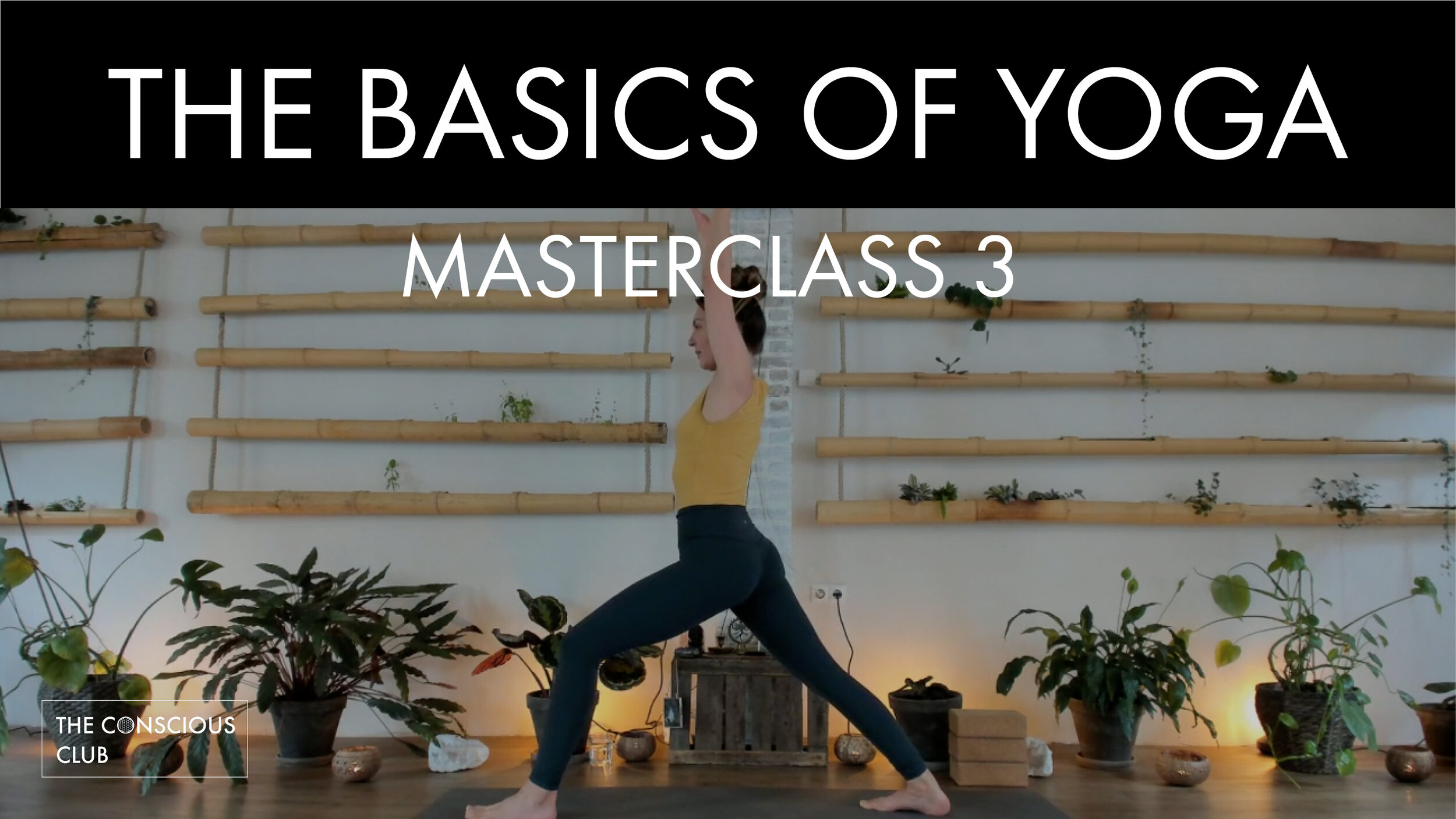 basics of yoga - ep 3.jpg