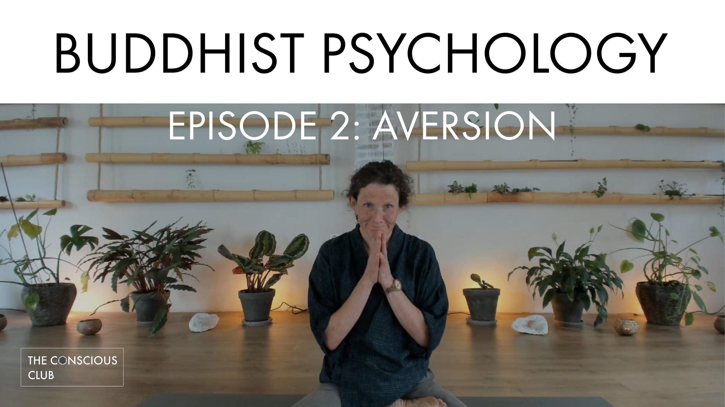 buddhist psychology - episode 2.jpg