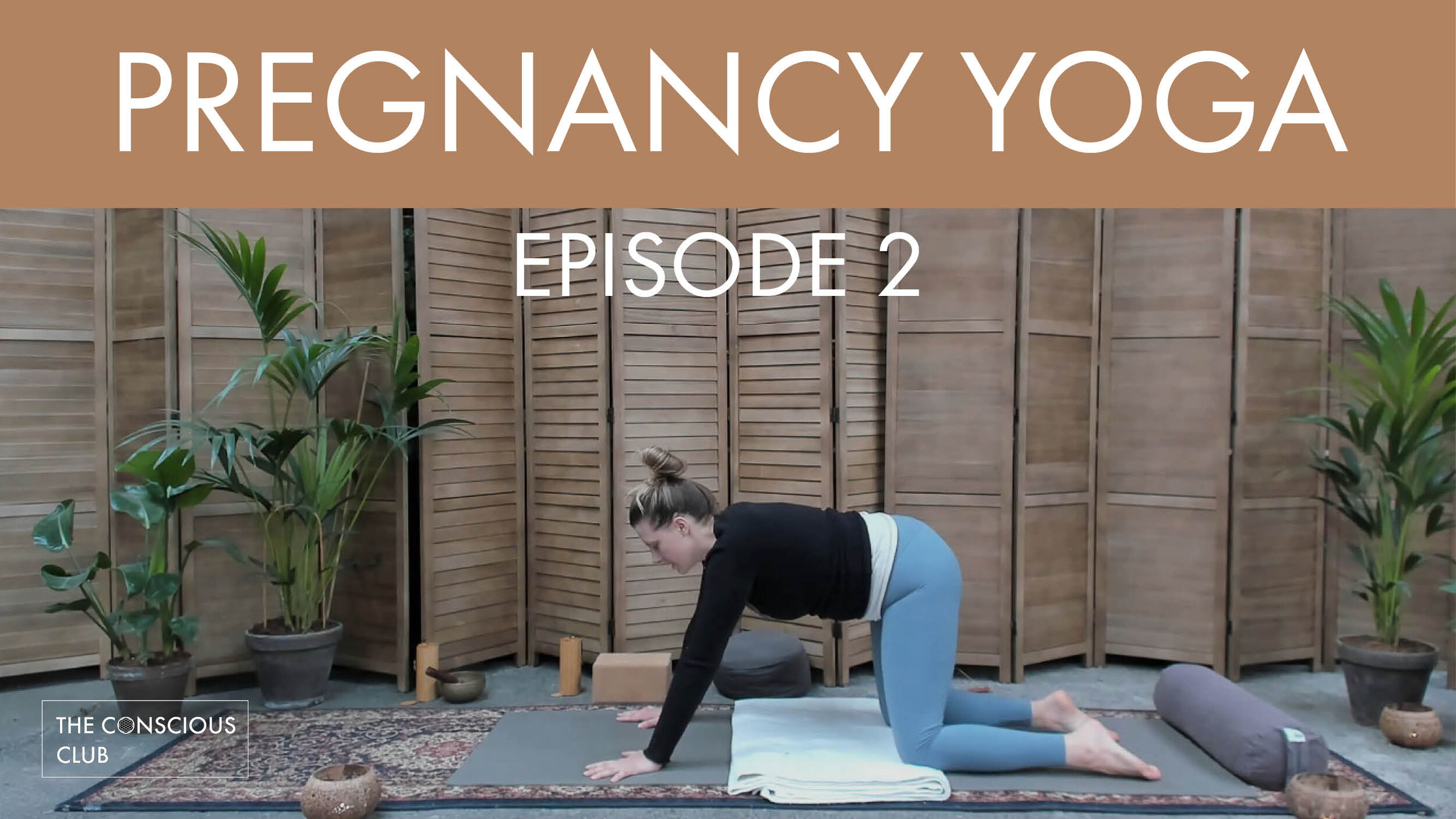 pregnancy yoga - episode 2.jpg