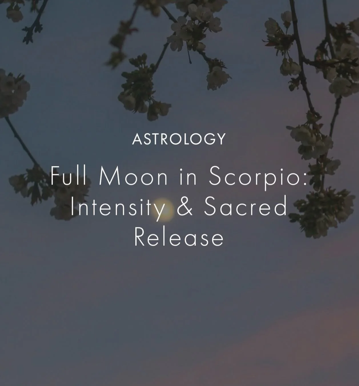 🌕 The Flower Moon in Scorpio rises on the Friday evening of May 1st at 19:23 over Amsterdam, inviting us into the depths for powerful emotional transformation and sacred release.

As we journey through this amplified cosmic powerhouse year, the Scor