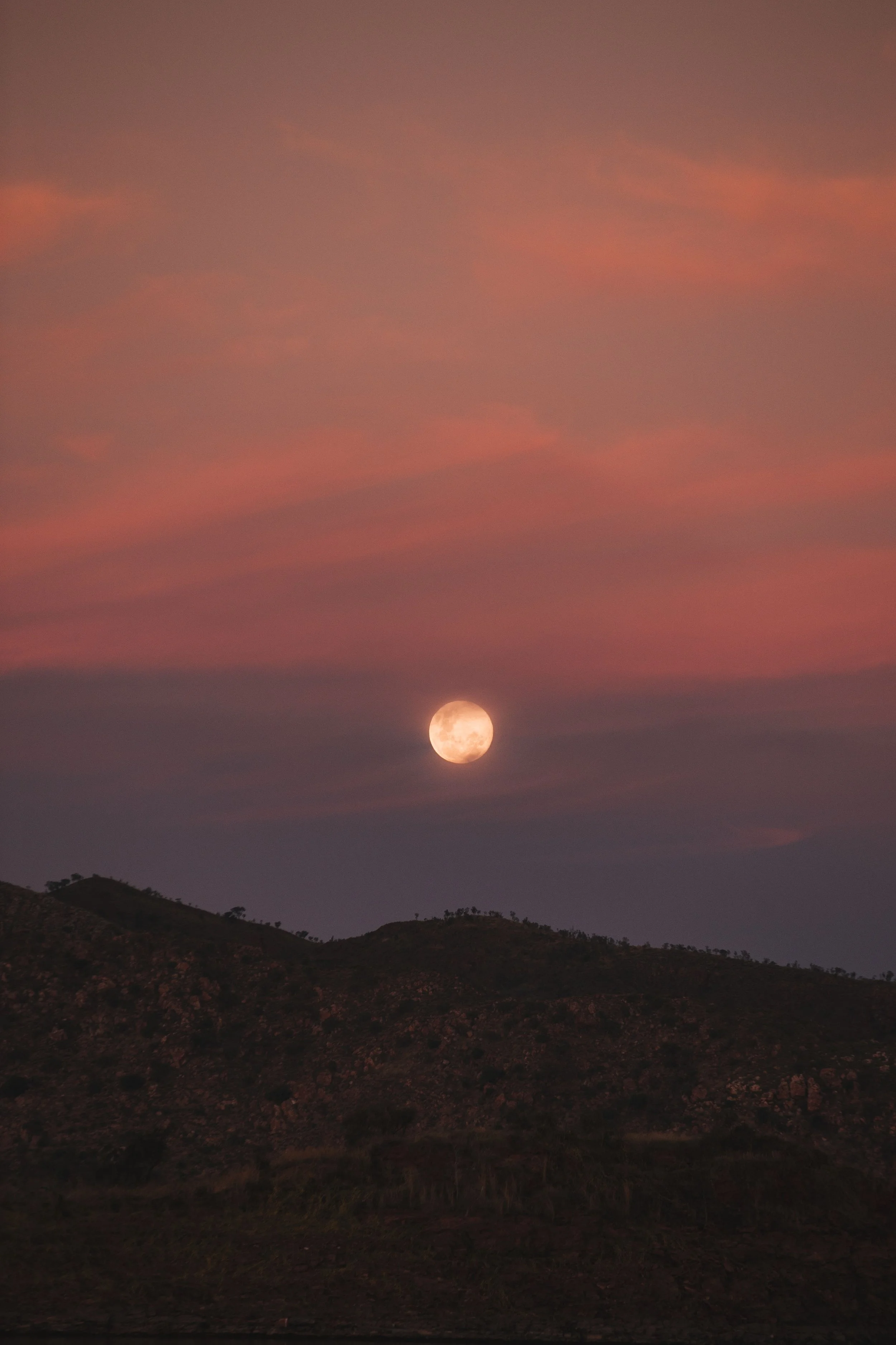 Full Moon in Aquarius: Innovation, Humanity &amp; Collective Awakening