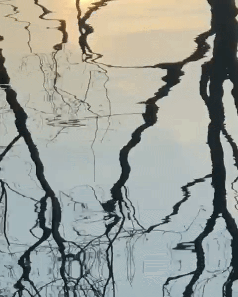 final_5d4aa4ea8d2d8700146a05ff_348771.gif