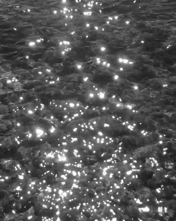ezgif.com-gif-maker.gif