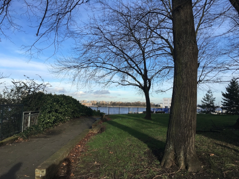 A photo from January (2015)